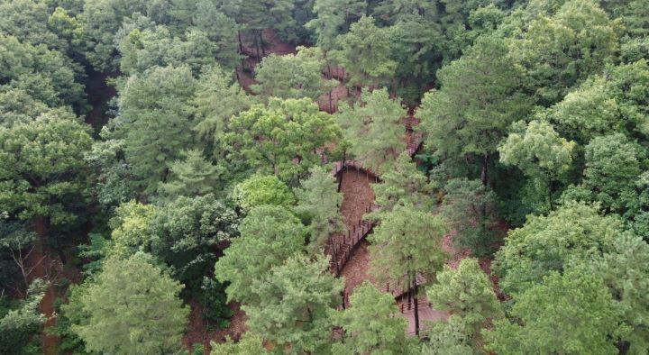 무봉산자연휴양림 전경