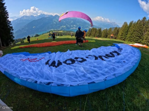 스위스 인터라켄 패러글라이딩 가이드: 일정·장비·코스·안전·예약 정보