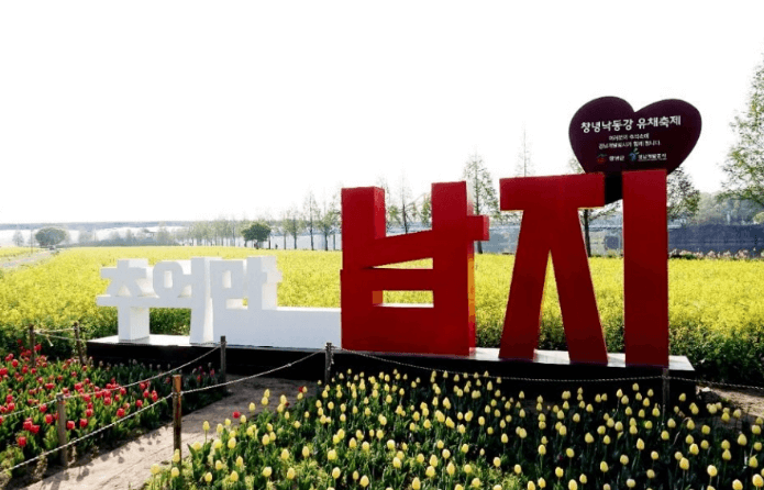 창녕 낙동강 유채축제 2025, 봄꽃 속에 빠지다!!! 축제기간변경안내!!!