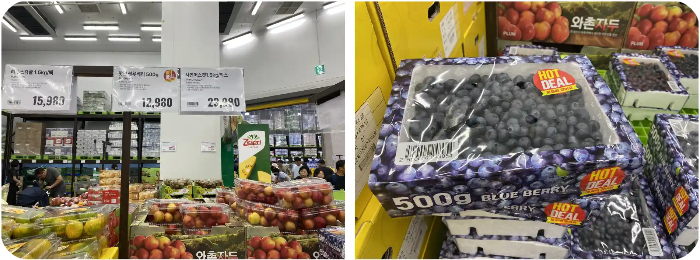 트레이더스-고양-세일-상품