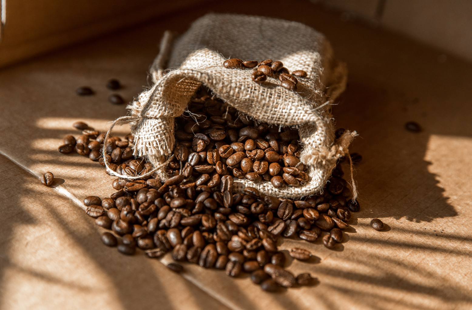 홈 카페에 어울리는 원두 추천