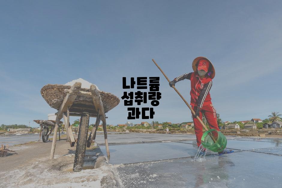 나트륨 섭취량 과다