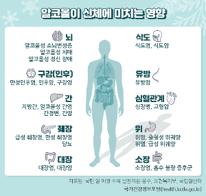 음주건강영향