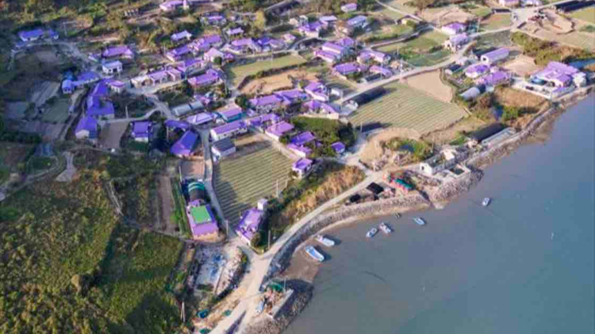 신안 퍼플섬 여행 가이드 - 보랏빛 낭만 속으로!