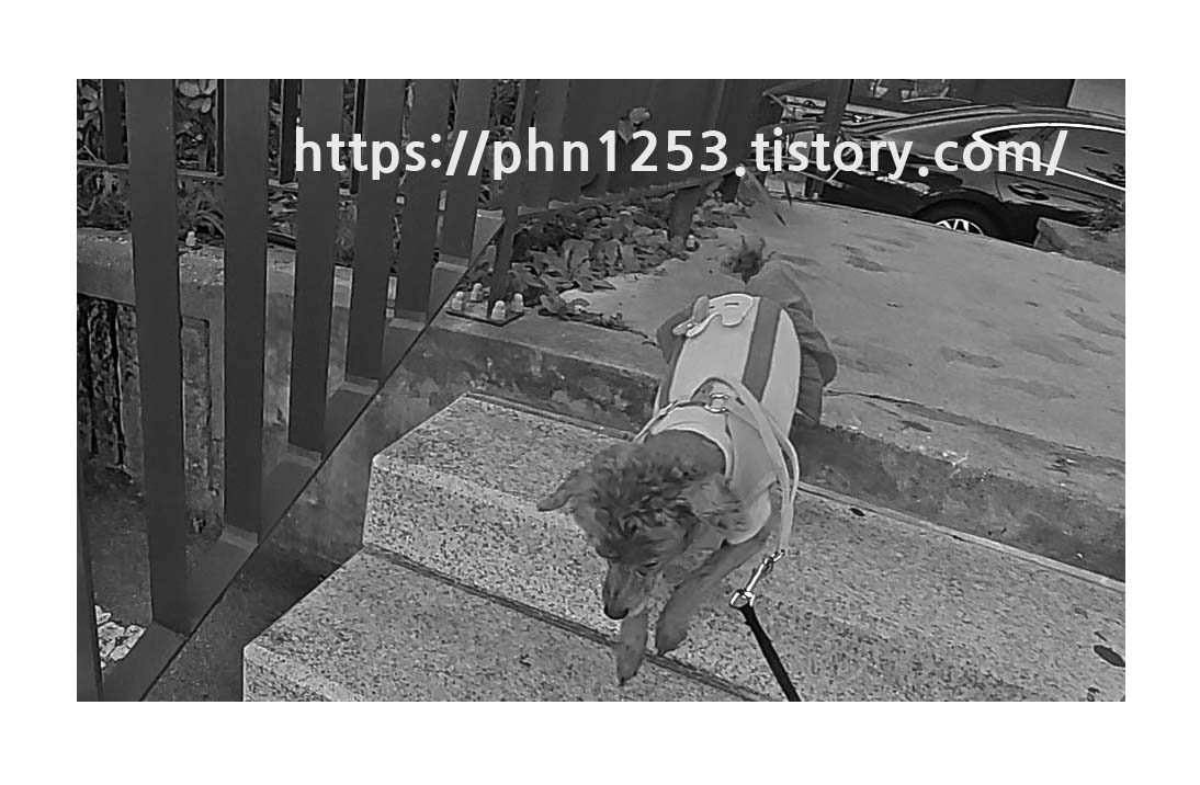 Alt 속성 문제 해결 설명 이미지