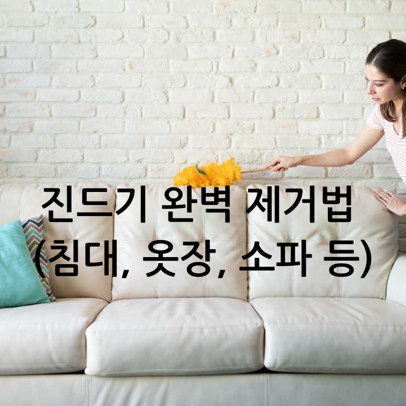 봄맞이 대청소 팁 &amp; 진드기 제거 팁