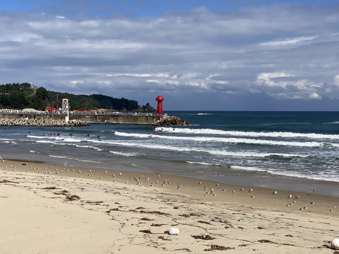 기사문해수욕장 서핑