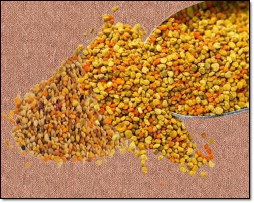 천연 영양제로 불리는 벌꿀화분