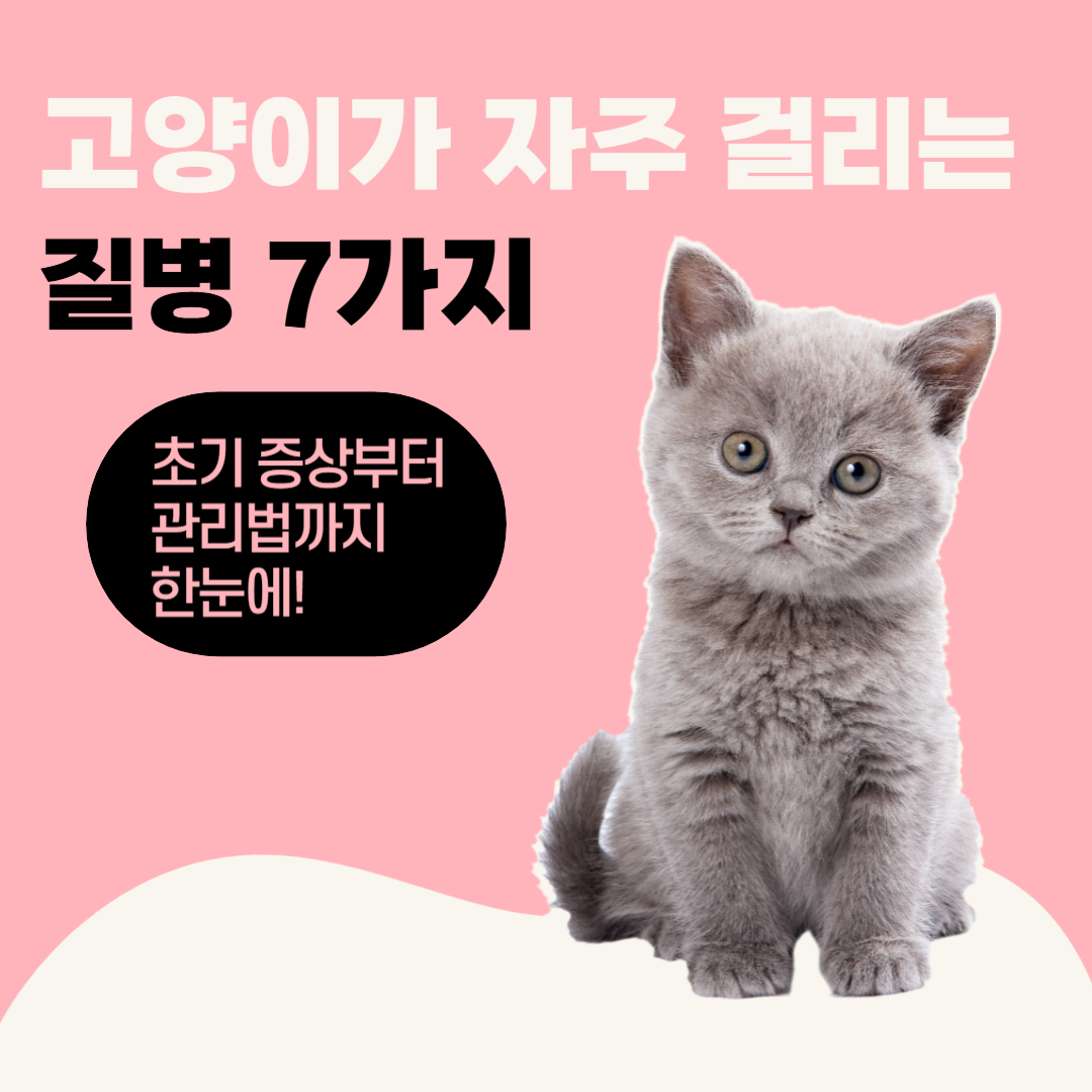 고양이질병