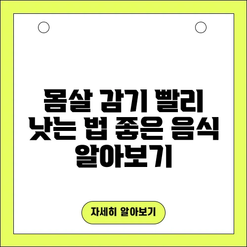 몸살 감기 빨리 낫는 법 좋은 음식 알아보기