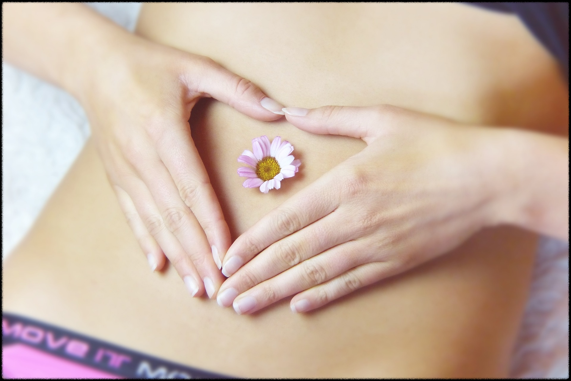 밀크씨슬 이미지21