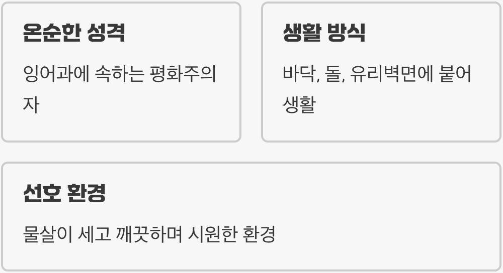 합사 전, 주인공의 성격을 알아야 합니다