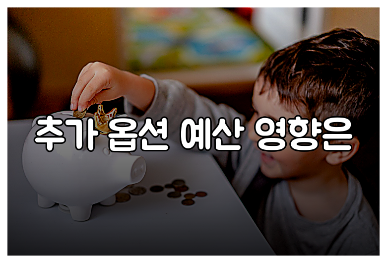 추가 옵션 예산 영향은