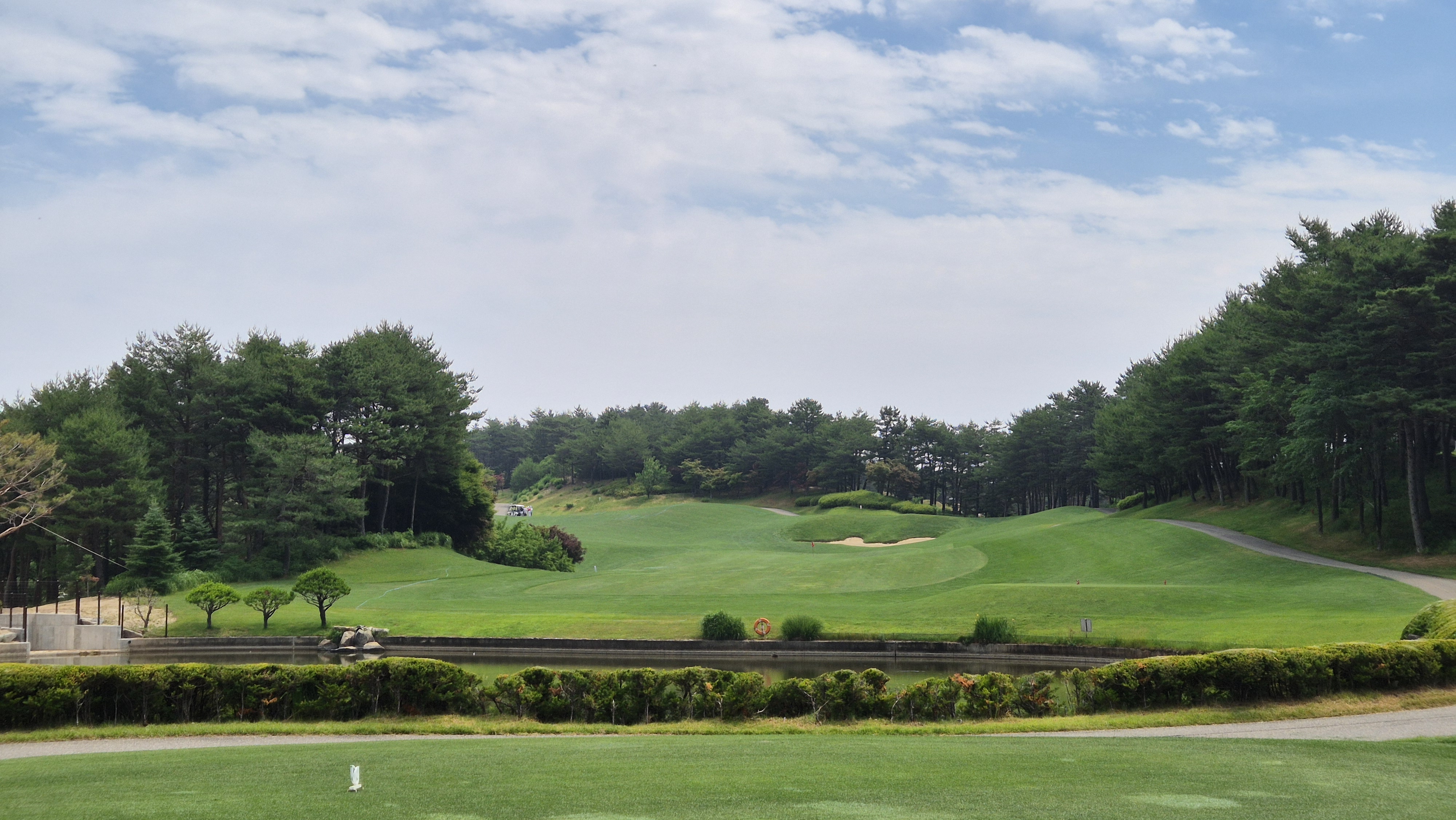 파인리즈cc 후기 및 코스사진