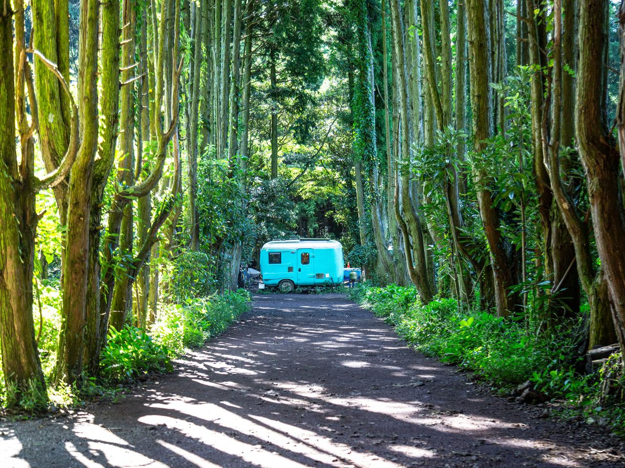 제주도-겨울-가볼만한곳