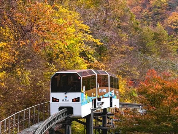 삼척 가볼만한곳 베스트10