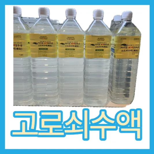 50~60대 고로쇠수액 효능 가격 지리산 화개깊은골 고로쇠수액 섭취방법 맛 당뇨에 좋은 물 고로쇠물