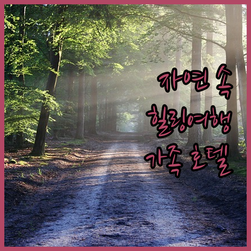 플레처 란드후트 호텔 홀트후른쉐 호프..