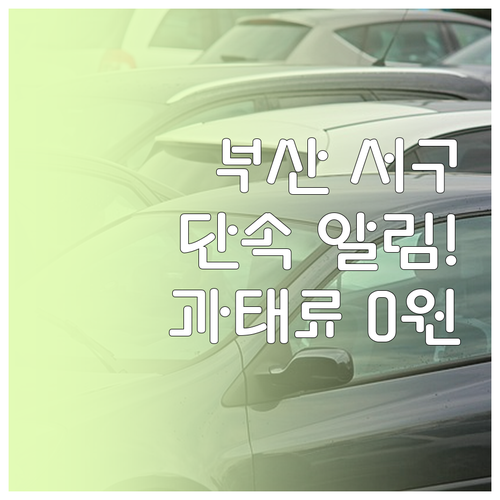 부산 서구 주정차 단속 문자 알림 신..