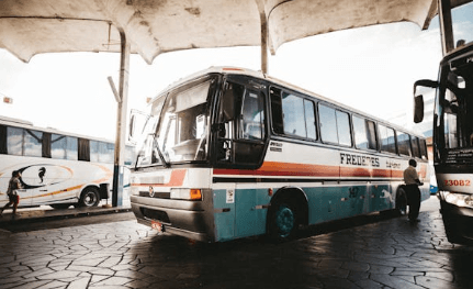 시내버스 역사&amp;#44; 차종 및 요금