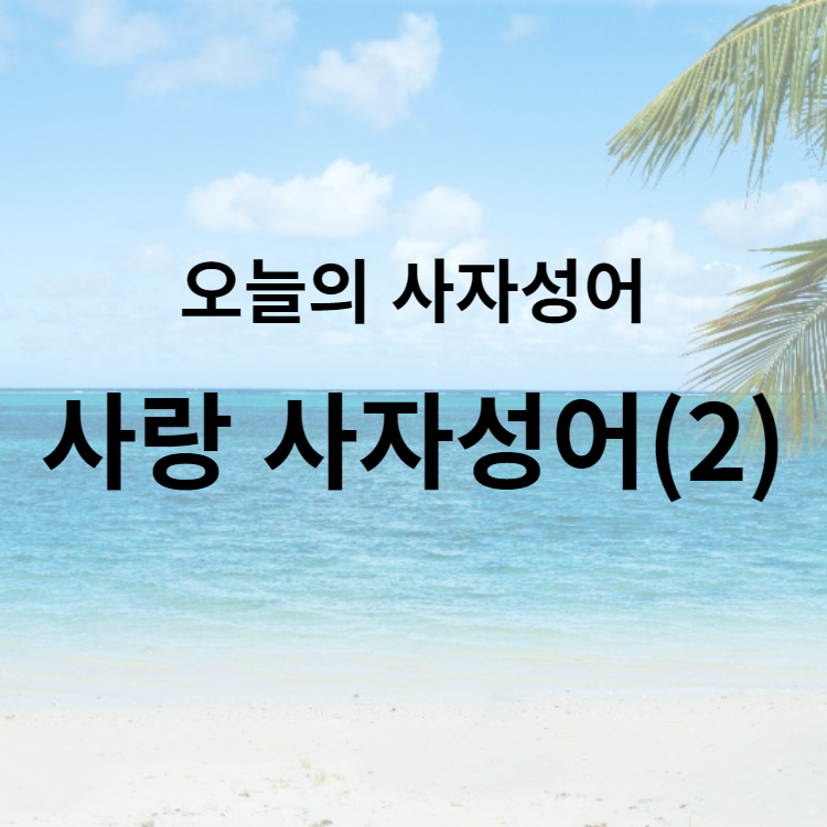 오늘의 사자성어 10개 : 사랑 사자성어(2)