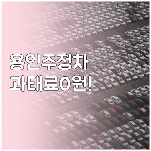 용인시 주정차 단속 문자 알림 신청법..