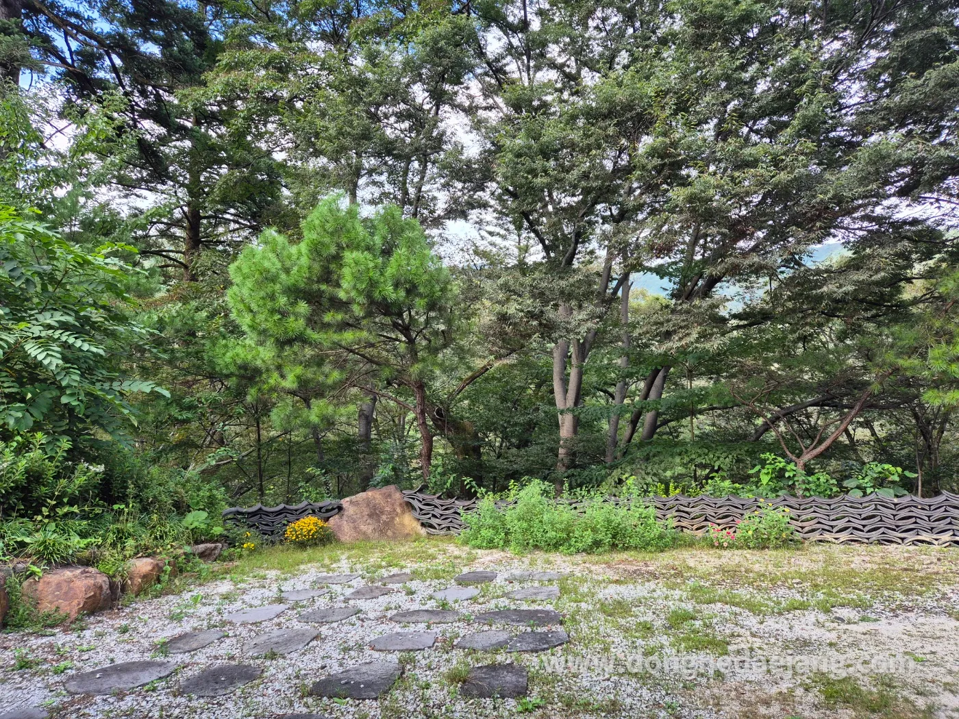 숙소 앞에서 바라본 탁 트인 앞마당 풍경