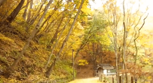 단풍이 물든 남한산성 둘레길