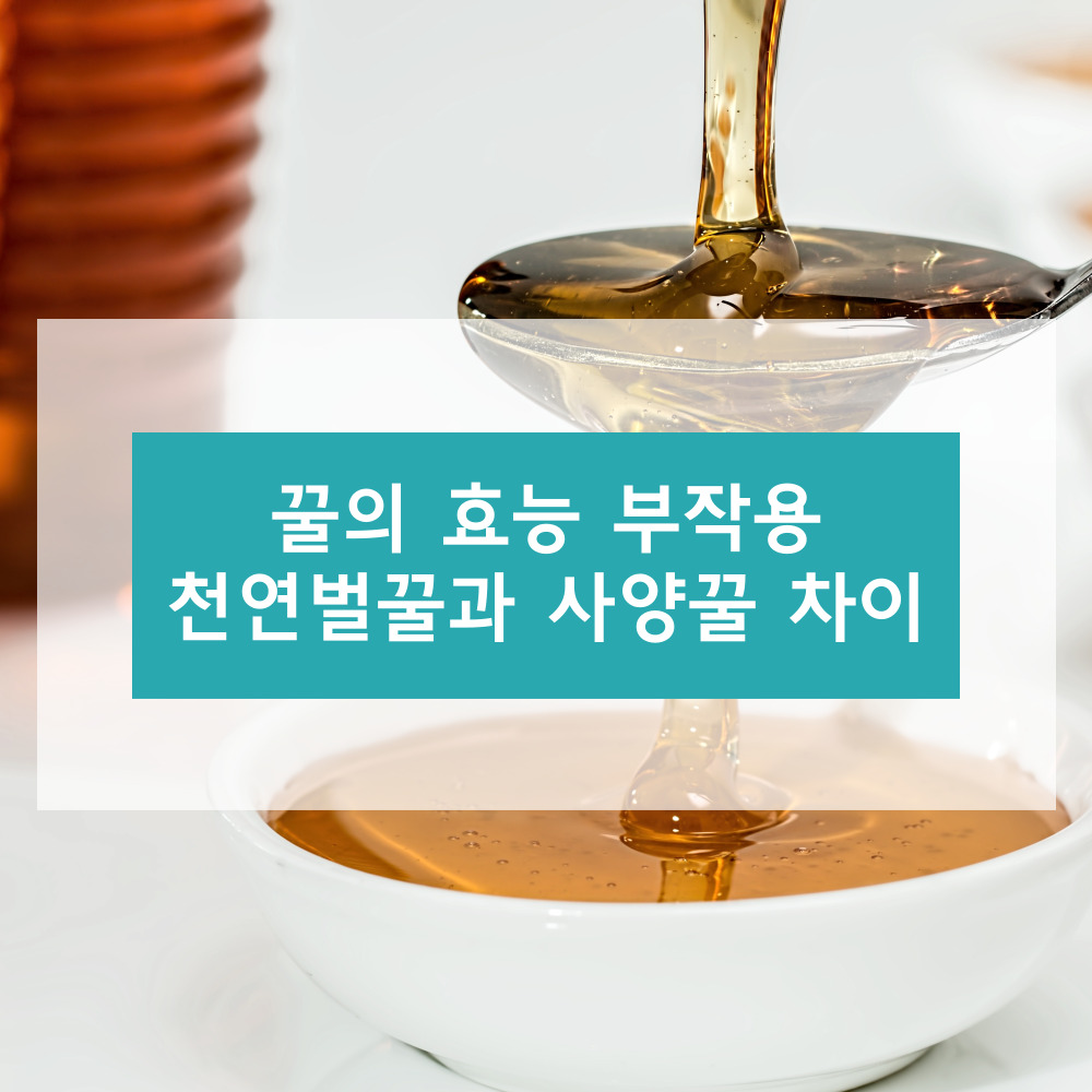 꿀에 대하여