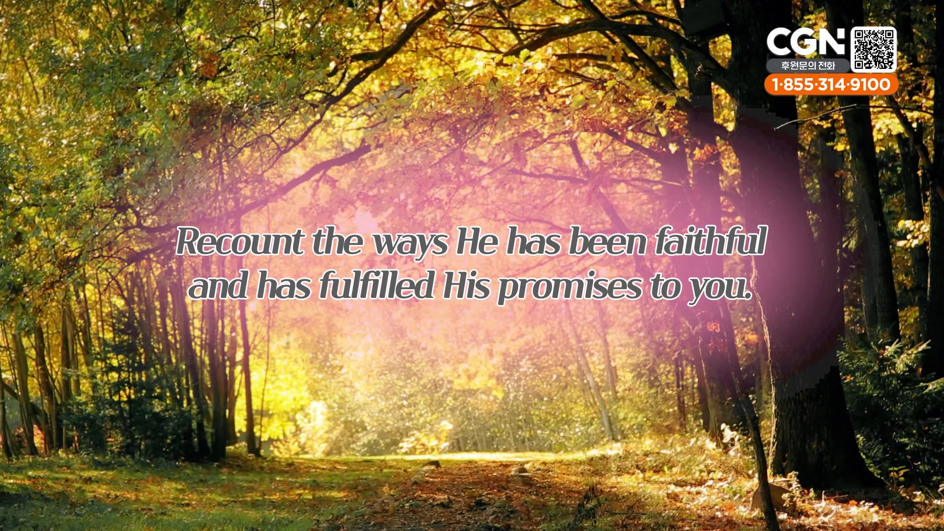 Recount the ways He has been faithful and has fulfilled His promises to you.