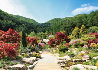 가평 가볼만한 곳