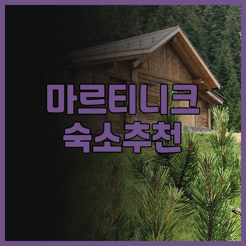 마르티니크 호텔 추천 B&B 홈 포르..
