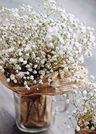 선물하는 안개꽃