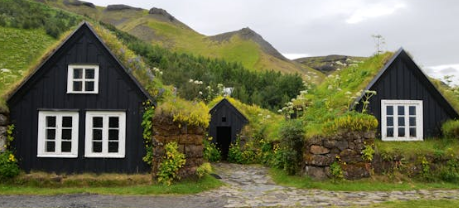 청년 월세 지원금