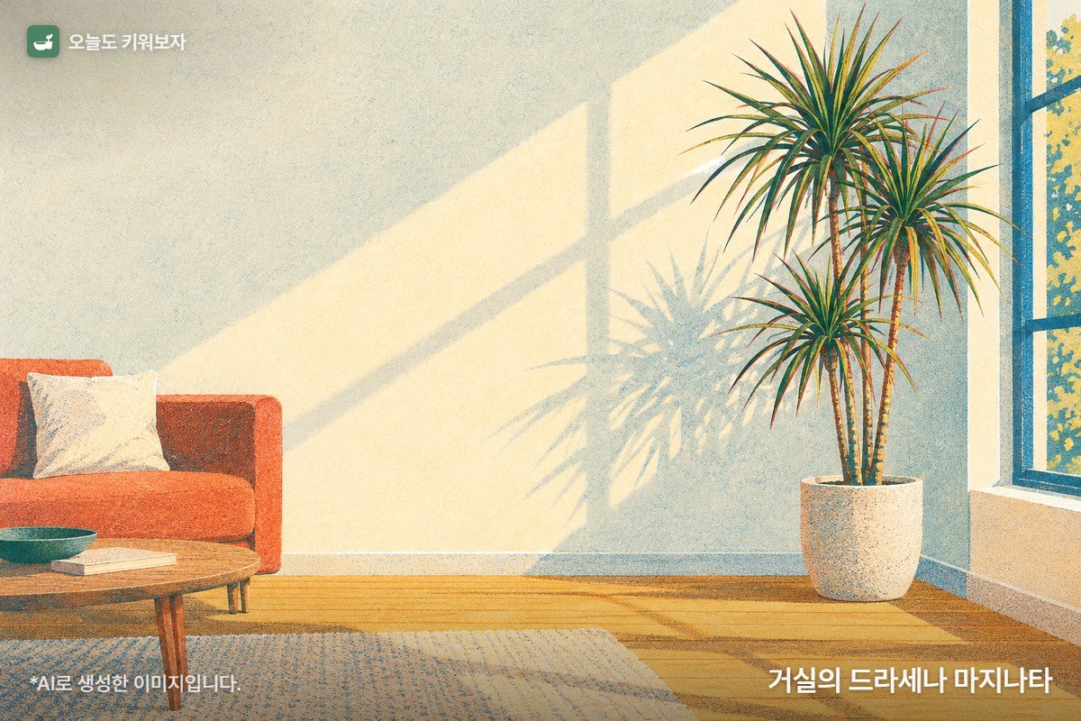 거실의 드라세나 마지나타 · 밝은 거실 한쪽에 놓인 키 큰 화분, 가는 줄기 끝에서 칼처럼 가는 잎이 사방으로 뻗은 드라세나 마지나타 그림 (AI로 생성한 이미지)