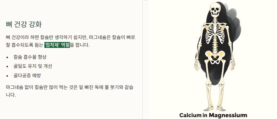 뼈건강 강화 이미지