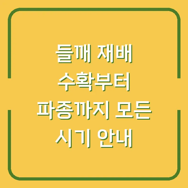 들깨 재배 수확부터 파종까지 모든 시기 안내