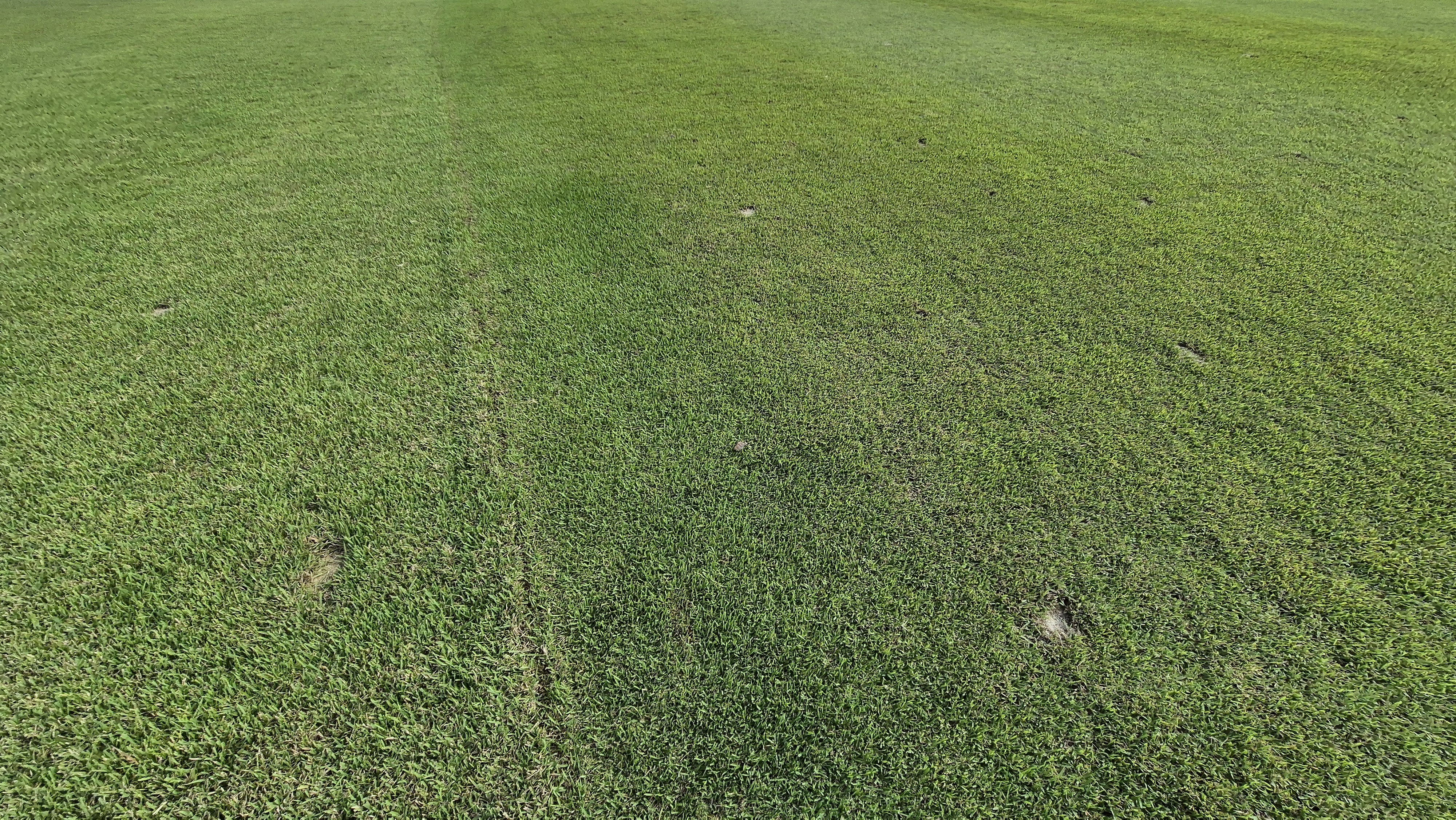 플라밍고cc 듄스-링크스 코스 라운드 후기