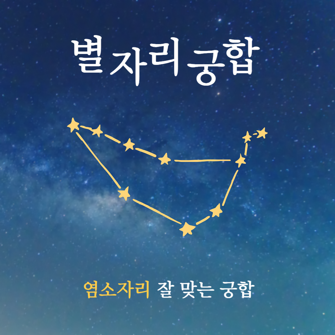 별자리 궁합 ❘ 염소자리와 가장 잘 맞는 별자리