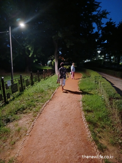 황토길 맨발 걷기로 체온 상승과 면역력 강화를 경험하는 사람들