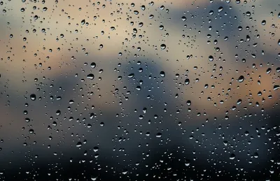 2024년 올해 장마기간 시작 예측 대비