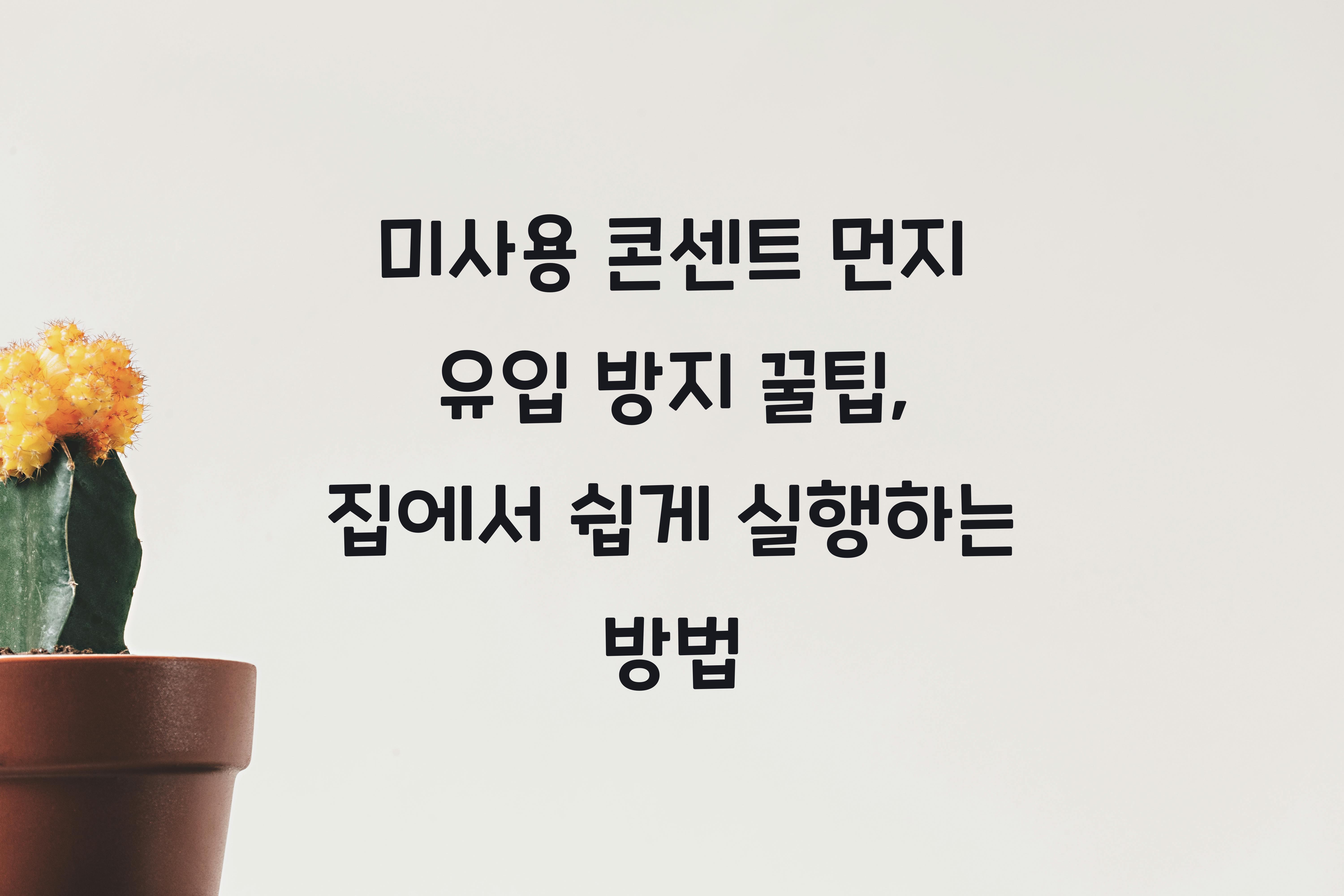 미사용 콘센트 먼지 유입 방지 꿀팁