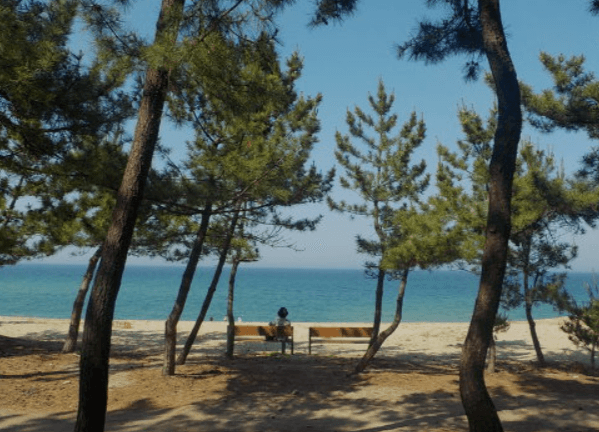 강릉 2박3일 여행코스