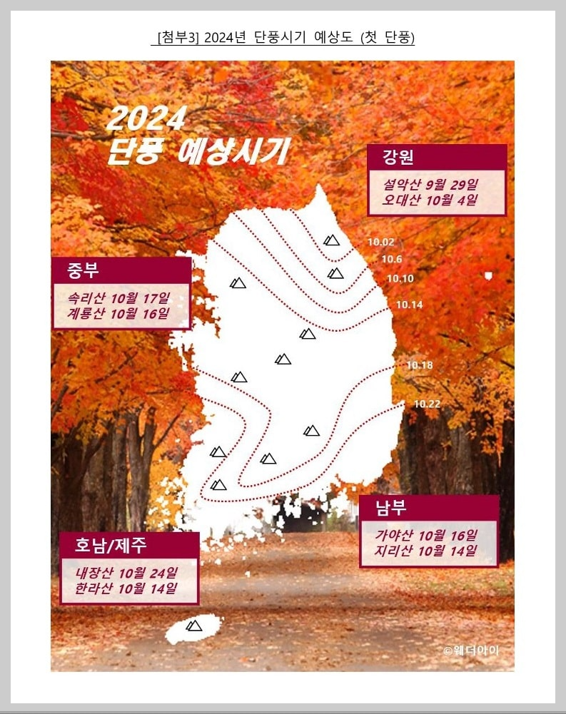 2024년 각 지역 첫 단풍시기