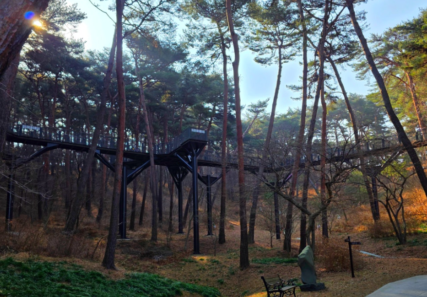 안면도자연휴양림