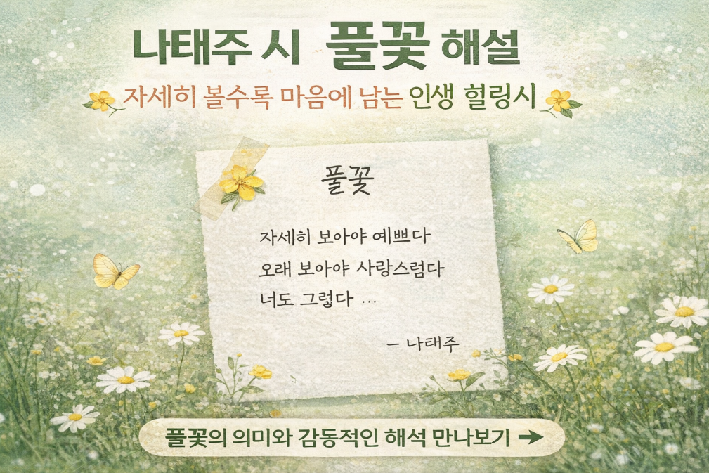 나태주 풀꽃 시, 3분만에 마음 치유하는 법
