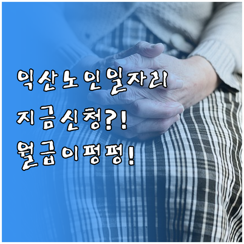 익산시 시니어클럽 노인일자리 종류 신..