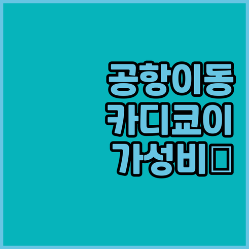 사비하 괵첸 공항 이동 편한 카디쿄이..