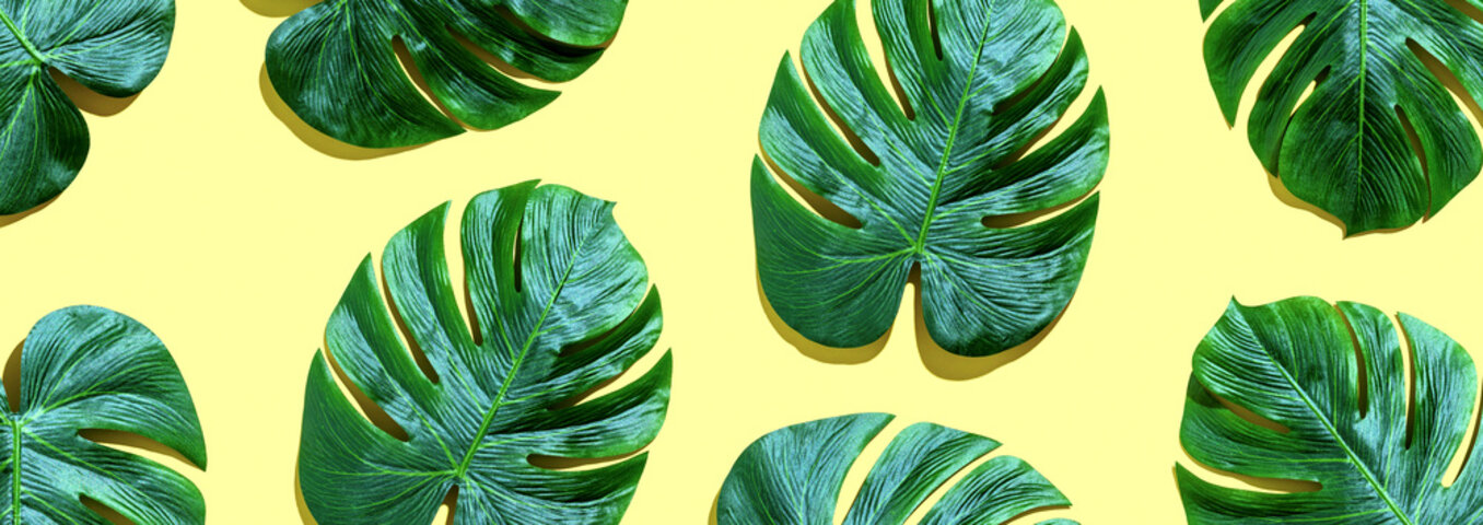 2024 식물보호산업기사 시험일정 및 하는 일&amp;#44; 취업&amp;#44; 연봉&amp;#44; 기출문제 총정리