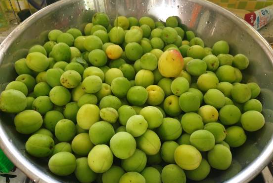 매실장아찌 담는법